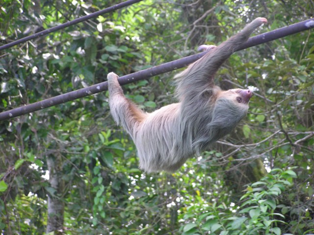 Costa_Rica_Olympus_1_059.JPG